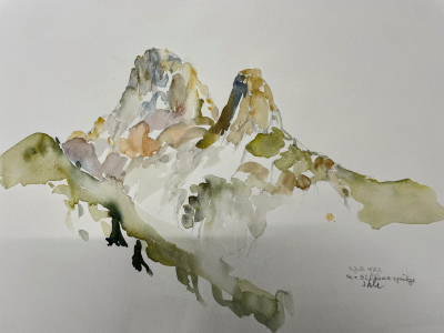 Silberspirzte-scaled